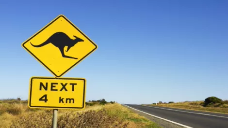 Is NZ a contact centre nearshore alternative for Oz?