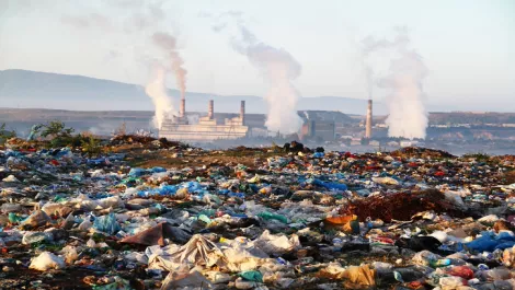 Google runs data centers without waste in Singapore and Taiwan
