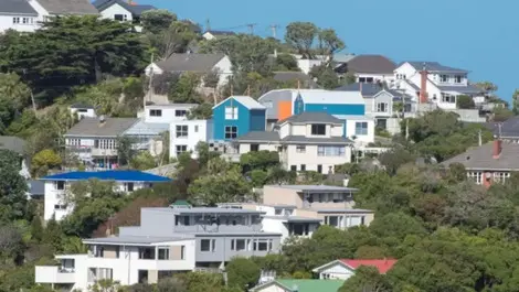 July brings price rises for all regions bar Auckland, says REINZ