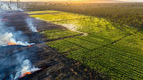 Geospatial insights from DAS aid in bushfire management